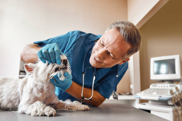 Best Emergency Wisdom Teeth Removal in Lakeway, TX