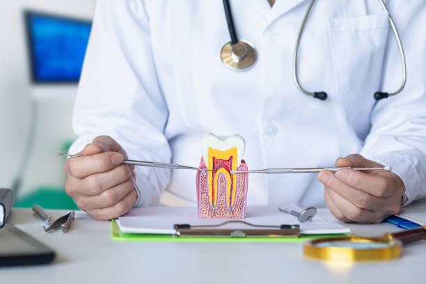 Best Emergency Tooth Extraction in Lakeway, TX